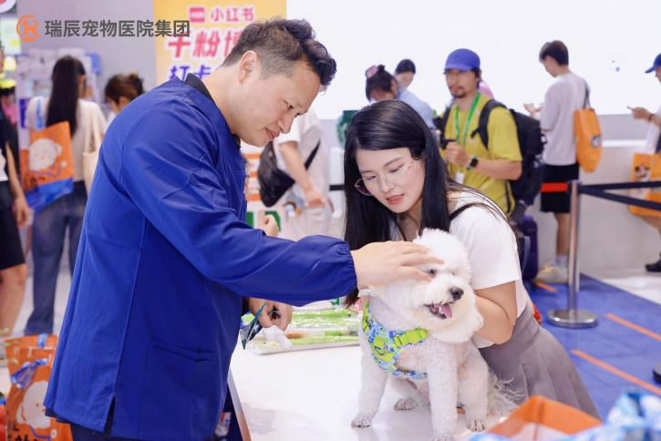 图片11.png