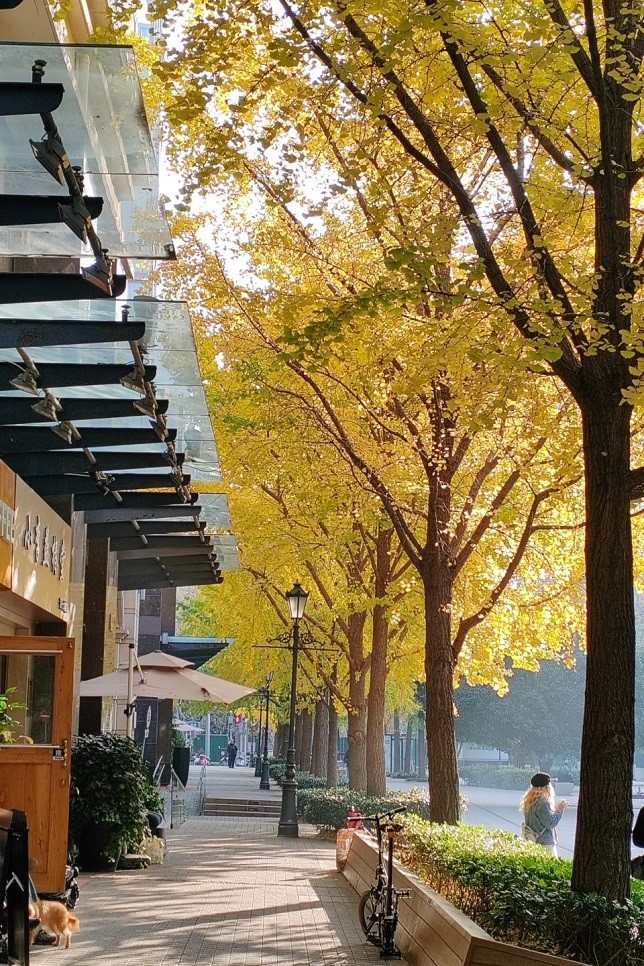 本周末黄金城道迎来黄金时刻还有一大波演出等你来打卡