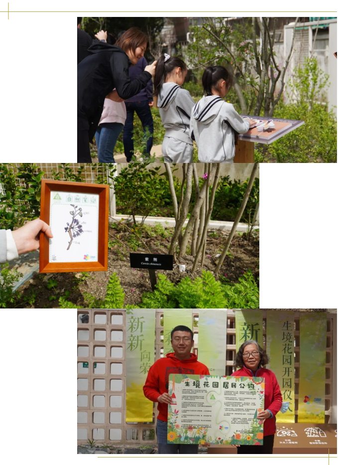 开园当天,来自新泾中学和适存小学的学生参与了辨认食源蜜源植物的